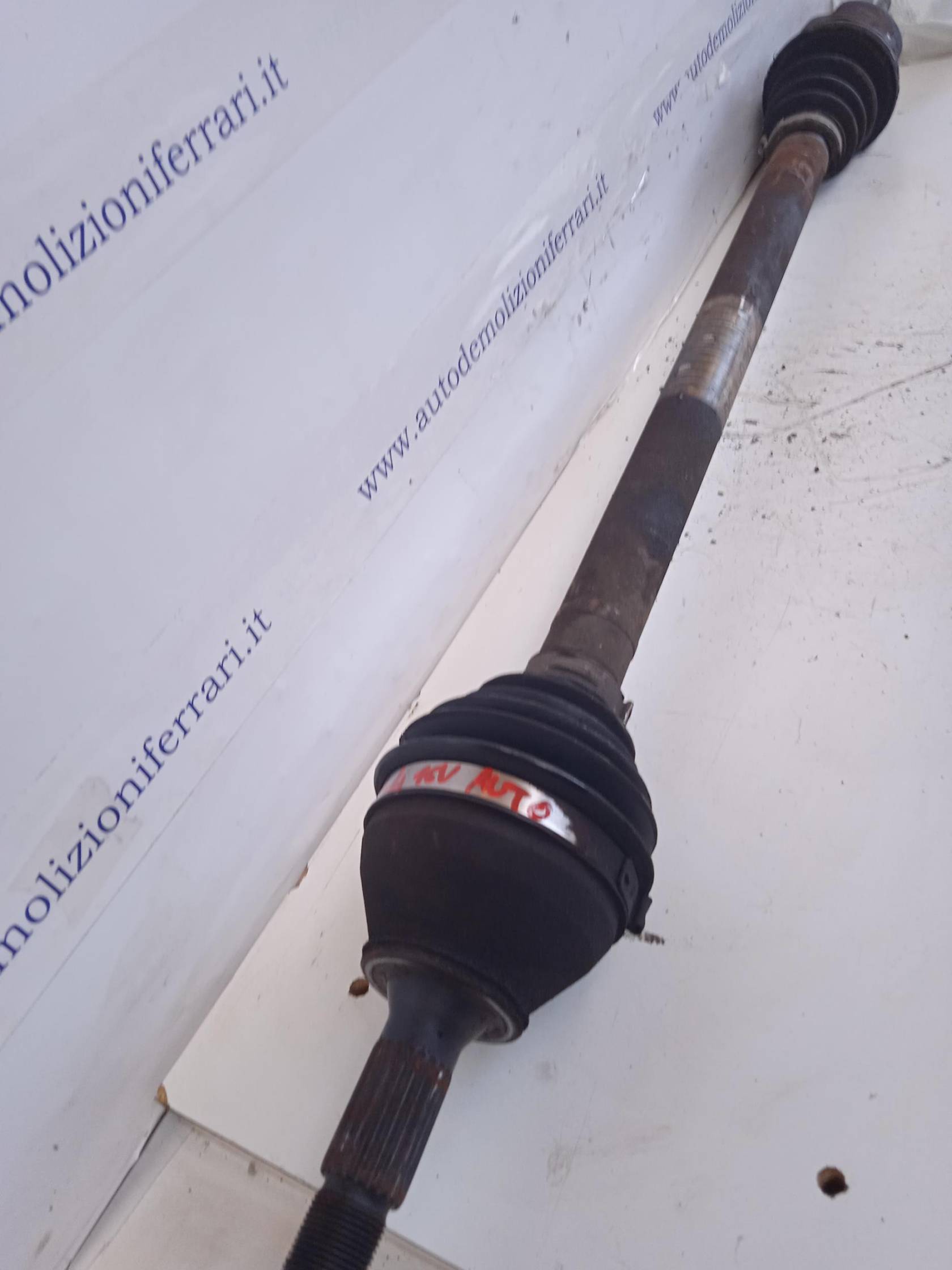 Semialbero ant. compl. dx.